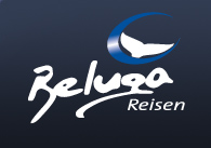 beluga