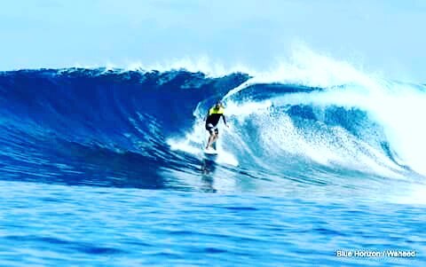 I could not help concluding this man had the most supreme pleasure while he was driven so fast and so smoothly by the sea. #maldives #sunnysideoflife #bluehorizonmaldives #surf #waves #visiting #follow4follow #photooftheday #picoftheday #instago #instatraveling #instagood #surf #surfing #bluehorizonmaldives #horizon2 #adventure #picoftheday #maldives #surfbreak #seasports #instagram #instadaily #blue #surfer #sea #waves #awesome #followback #lovecharm #mytravelgram #saltlife