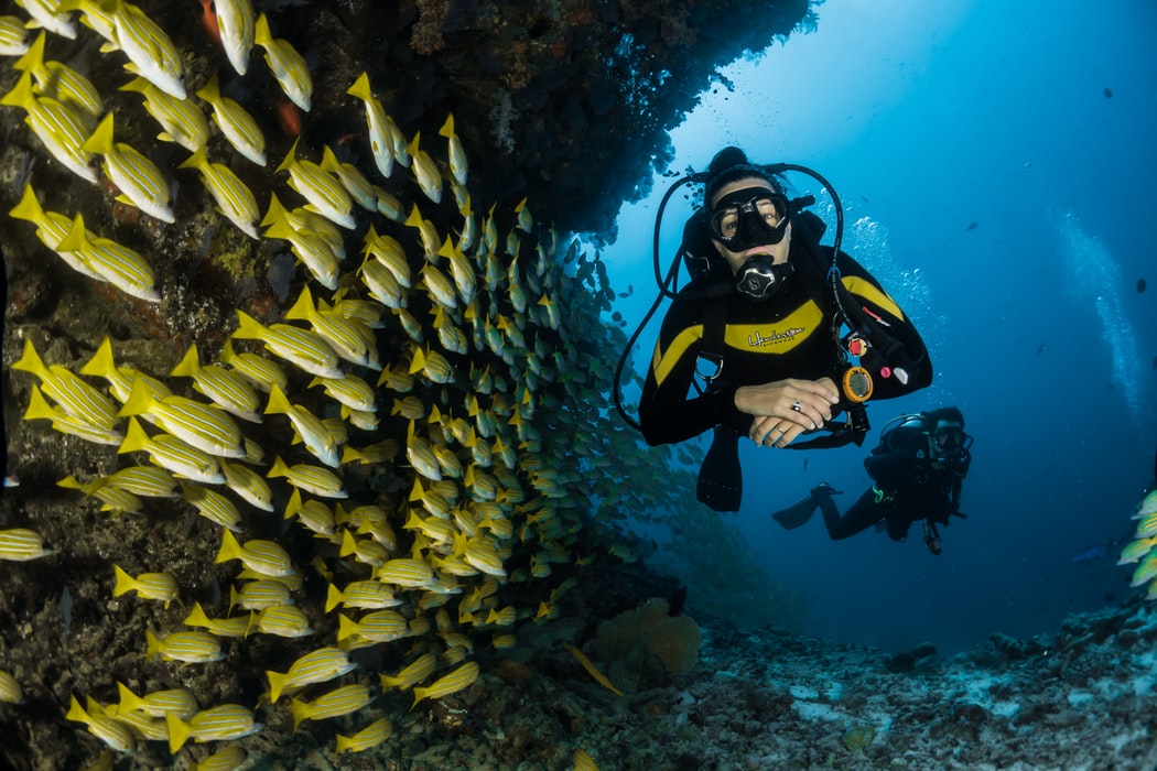 SCUBA Diving Holiday